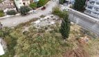 Fotoğraf