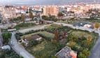 Fotoğraf