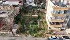 Fotoğraf